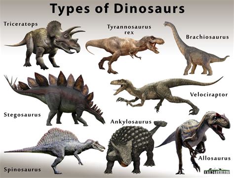 dinosaurs and their characteristics.